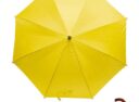 parasol14-1