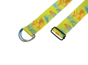 pas-do-jogi-Yoga-strap