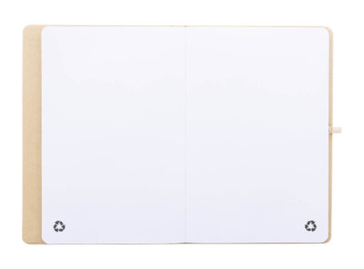 AP800097-00__C